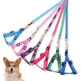 3m or 5m Durable  Automatic Retractable Nylon Cat/Dog Lead