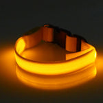 Flashing Luminous Collar