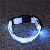 Flashing Luminous Collar