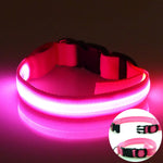 Flashing Luminous Collar