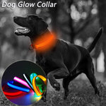 Flashing Luminous Collar