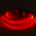 Flashing Luminous Collar