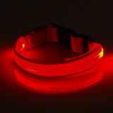 Flashing Luminous Collar