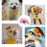 Fleece Dog Hoodies, cute animal shapes