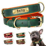 Customized Leather ID Nameplate Pet Collar Soft Padded Dogs Collars Free Engraving