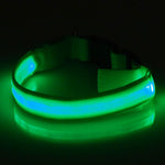 Flashing Luminous Collar