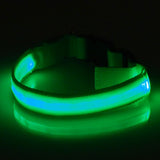 Flashing Luminous Collar