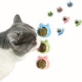 Healthy Cat Catnip Toy Ball