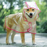 Transparent Dog Raincoat with Hood