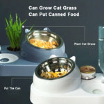 Stainless Steel or Ceramics Bowl for Cat / Dog ; Automatic Water Drinker