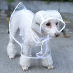 Transparent Dog Raincoat with Hood