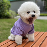 Cute Printed  Pets T-shirt