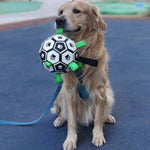 Interactive Dog Football Soccer Ball With Tabs  Inflated Training Toy  Pet Supplies