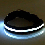 Flashing Luminous Collar