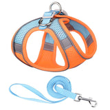 Dog Harness And Leash Set