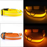 Flashing Luminous Adjustable Night Safety Nylon Pet Collar