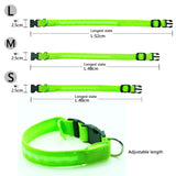 Flashing Luminous Collar