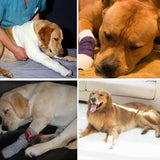 Pet Dog Bandage/ Leg Knee Brace / Joint Bandage Wrap