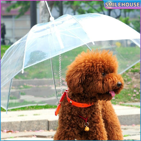 Transparent Pet Umbrella  Small-Medium Size Dogs