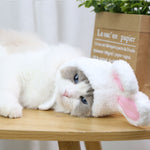 Funny  Cute Rabbit Ears Cap for Cats or small dogs