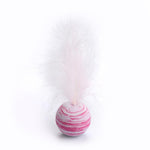 Colorful Feathered Cat Teaser Toy