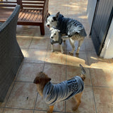 Autumn and Winter Dog Hoodie Thickened Warm Sweater