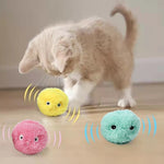 Squeaky Electric Ball Toy