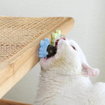 Healthy Cat Catnip Toy Ball