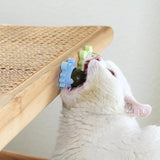 Healthy Cat Catnip Toy Ball