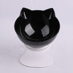 Non-slip Double Pet Bowls With Raised Stand