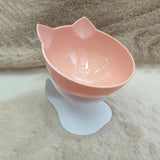 Non-slip Double Pet Bowls With Raised Stand