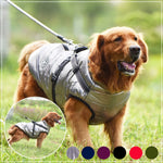 Pet Dog Jacket With Harness, waterproof