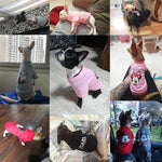 New Disney Winter Pet Clothes