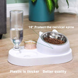 Stainless Steel or Ceramics Bowl for Cat / Dog ; Automatic Water Drinker