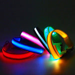 Flashing Luminous Collar