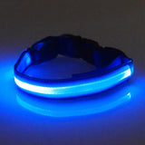 Flashing Luminous Collar