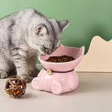 New  Ceramic Cat Bowls