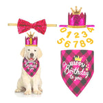 Dog Birthday Party Supplies; Bandana Scarf ,Shiny Crown Hat, Bow Collar